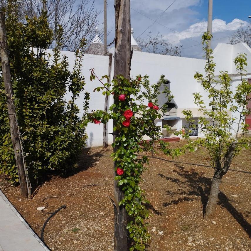 Angolo Di Puglia Locorotondo Exterior photo
